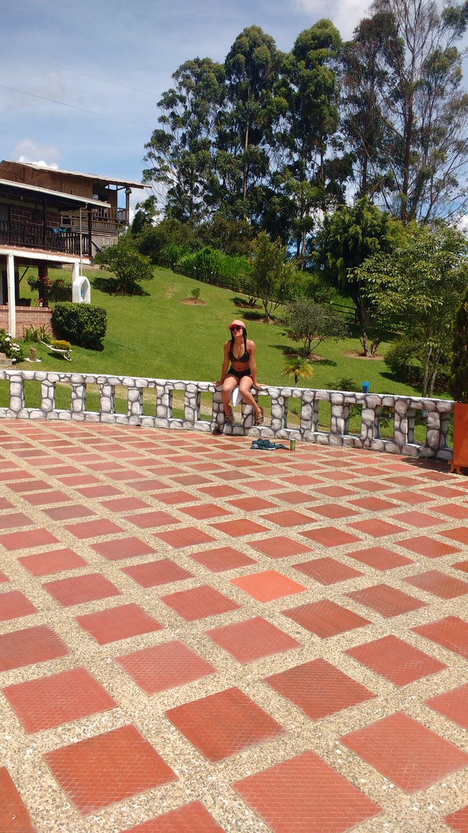 Michell9809's tweet photo. 🌴 https://t.co/s7ttDcVWuB