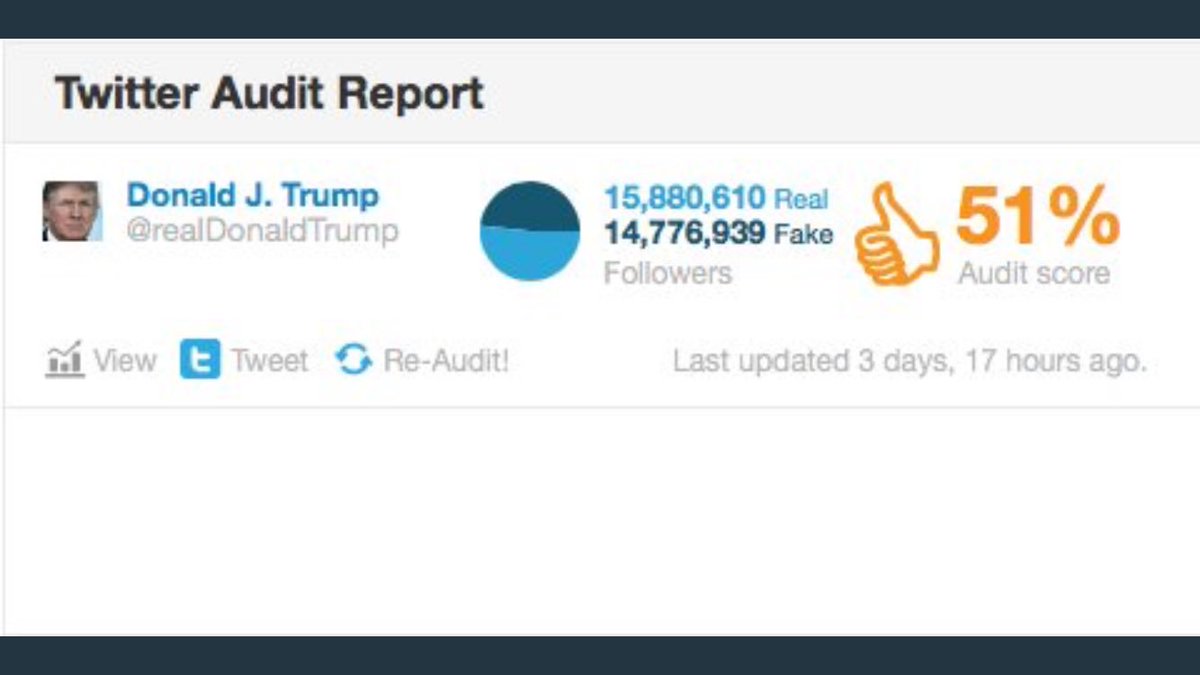 andrew wortman - do fake twitter followers pay off