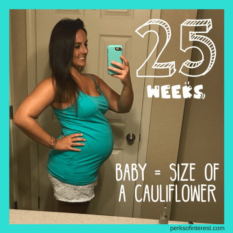 perksofinterest's tweet image. Pregnancy Update – 25 Weeks perksofinterest.com/pregnancy-25-w…