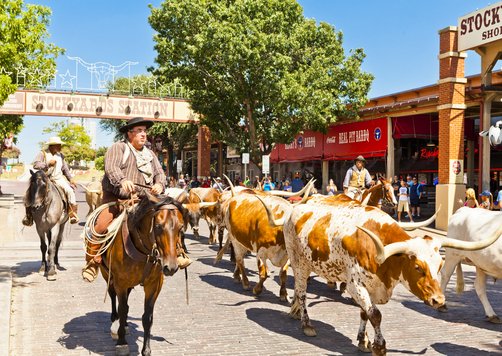 Dicen que en Texas todo es más grande. Con sus grandes paisajes, su gran historia y sus grandes chuletas celebramos el #4OfJuly