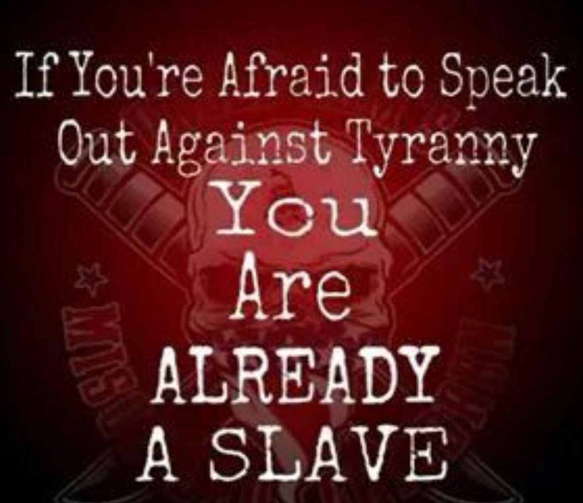 MeAShrew's tweet photo. Remember this and #Resist!  #InvalidVote  #Mulligan  #NotOurPresident #NotOurValues #TrumpRussia #TrumpCare #TaxCutCare #Independanceday2.0 https://t.co/U3X2sLzwEe