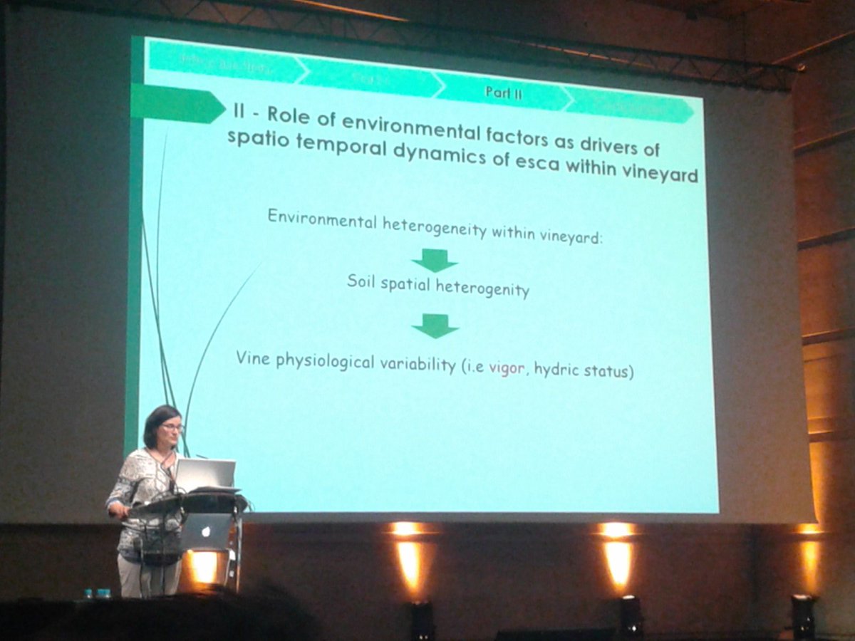 GianfRomanazzi's tweet image. #LuciaGuerinDubrana talk on #spatialdistribution of #esca at 10th #IWGTD no aggregation on the row, unlike transmission with pruning shears