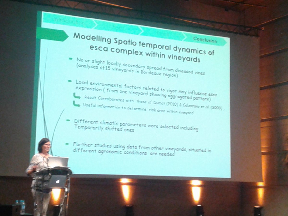 GianfRomanazzi's tweet image. #LuciaGuerinDubrana talk on #spatialdistribution of #esca at 10th #IWGTD no aggregation on the row, unlike transmission with pruning shears