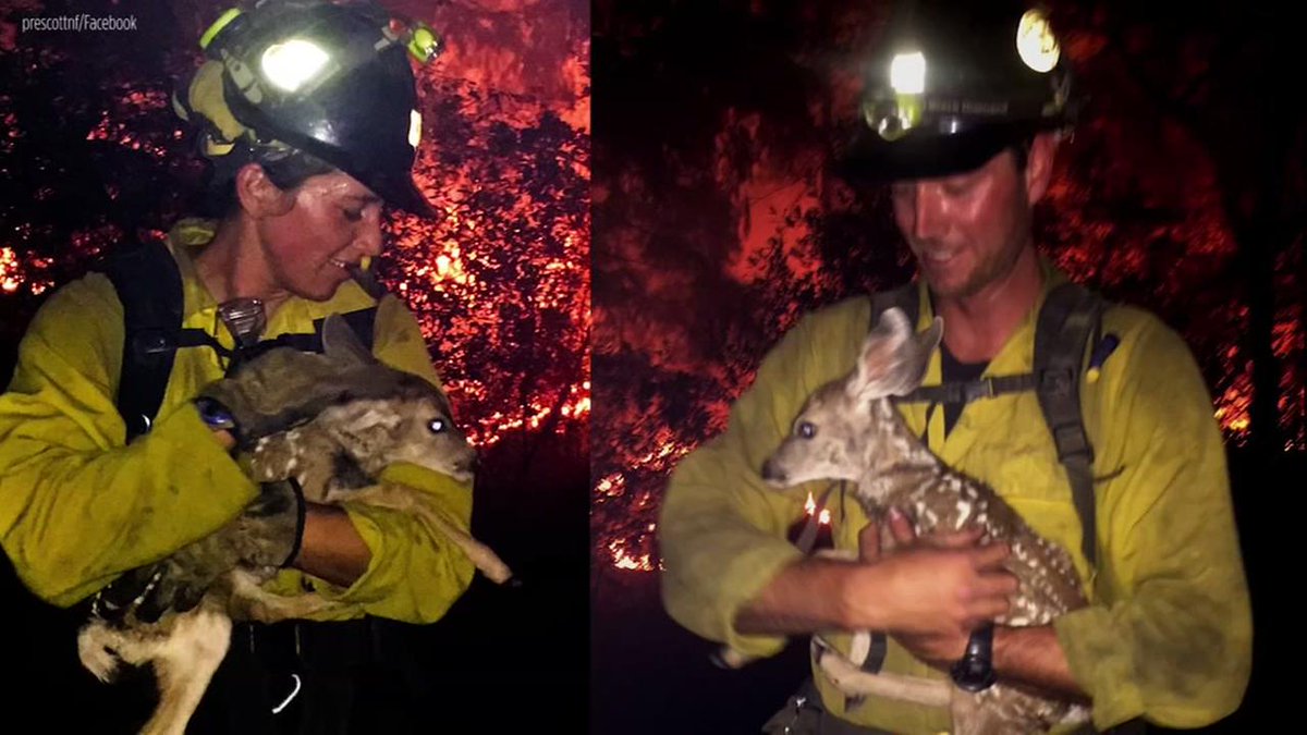 Eyewitness News tweet media