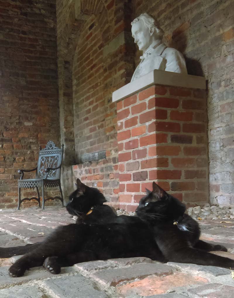 #PoeMuseumCats Edgar and Pluto guarding the #EdgarAllanPoe bust in the Poe Shrine.
