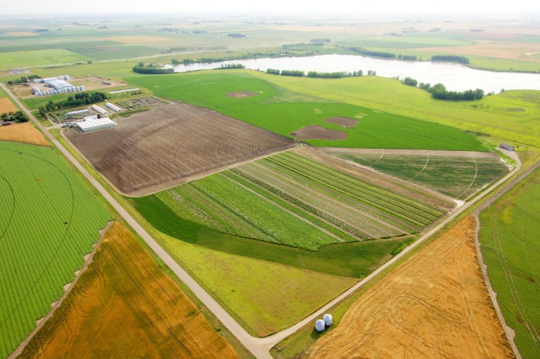 OrganicAlberta's tweet photo. We're hosting our final #organic field day of the summer on July 20th with @MansOrganics! Details here: https://t.co/63z0lGqY37 https://t.co/gj0ib4KAlY
