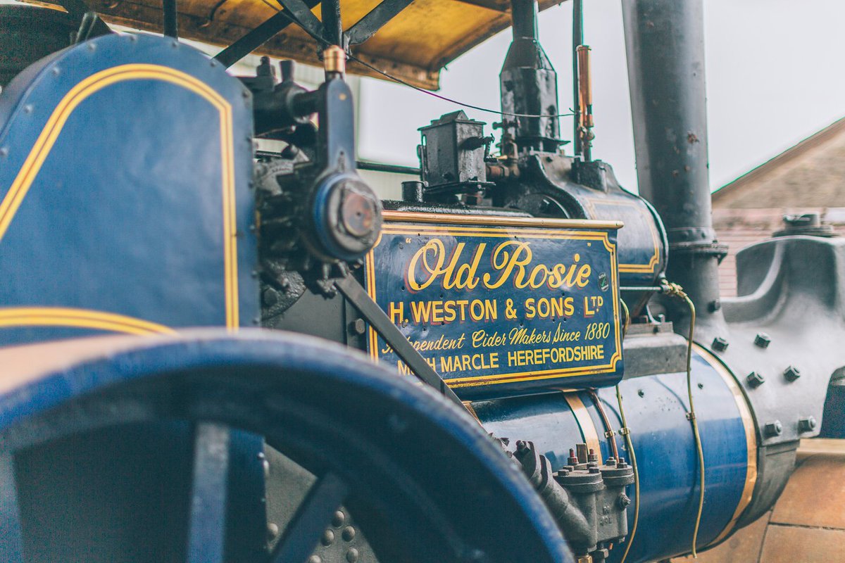 Old Rosie (@westonsoldrosie) on Twitter photo 'Ooollld Rosieeee'.... Is <a href="/TheWurzels/">The Wurzels🎶</a> new song stuck in your head yet?! Sorry not sorry! 'Ooollld Rosieeee'.... Is <a href="/TheWurzels/">The Wurzels🎶</a> new song stuck in your head yet?! Sorry not sorry!