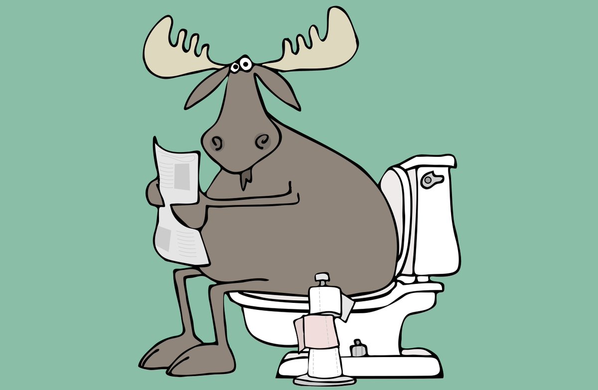 QuestNL's tweet photo. Weet jij welke drol bij welk beest hoort? Doe de test: https://t.co/3rRIFrJIQ4 #questtest https://t.co/7ukRl06KOV