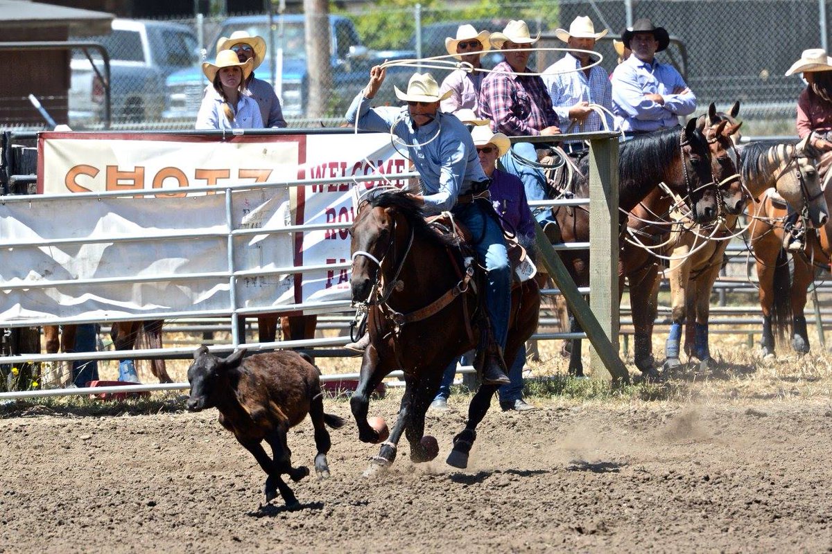 FortunaRodeo's tweet photo. Fortuna Rodeo Photo!
By Jose Quezada https://t.co/ZGRVclHXcG