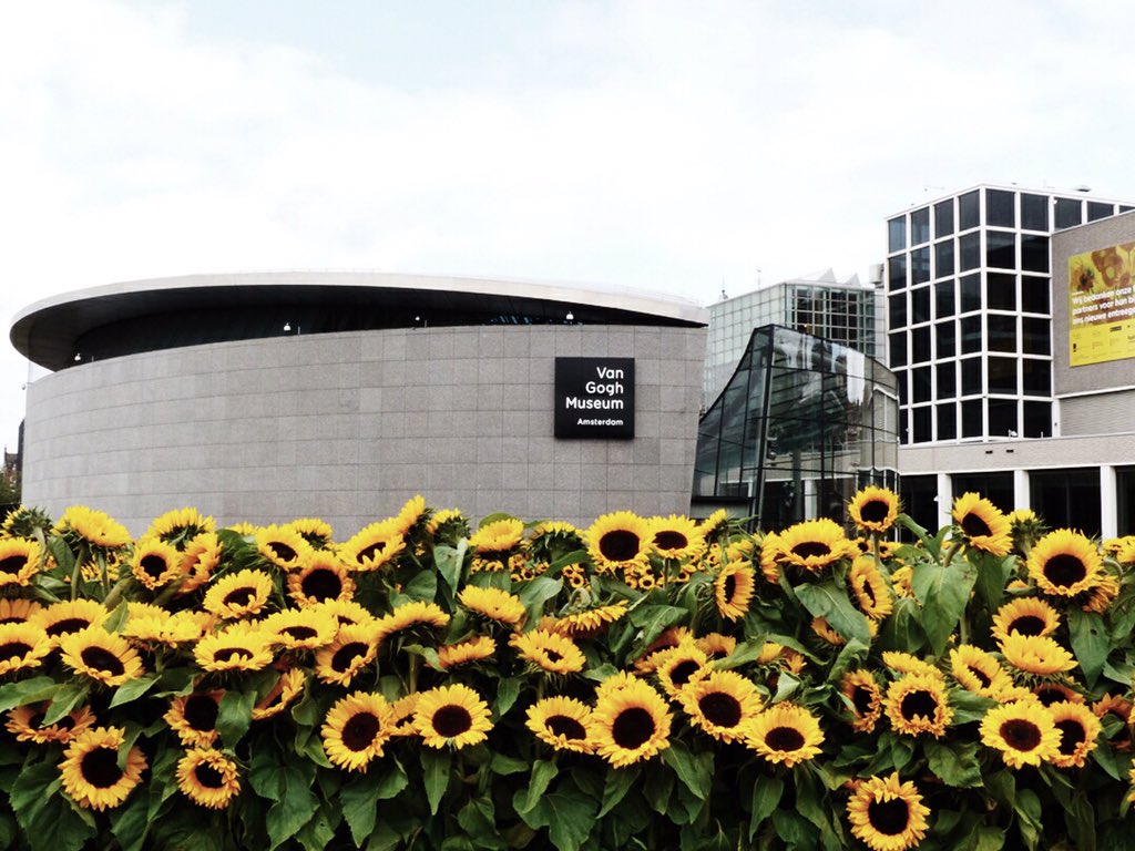 van gogh museum sunflowers take home