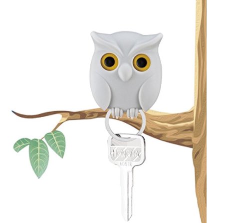 FlashDealsDaily's tweet image. $7.99
amzn.to/2sa1GtM

#owl #cute #keyholder #key #keychain #magnet #magnetic #design #decoration #useful #beautiful #bedroom