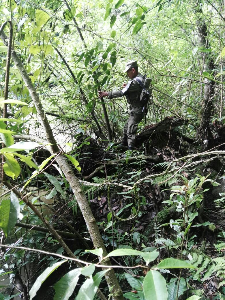 Ejercito_GT's tweet photo. 1/2 Personal de la Sexta Brigada de Infantería continúa búsqueda de la señorita Lucecita Antonieta Caal González, originaria de Carchá, A.V https://t.co/LqT0VgiQUa