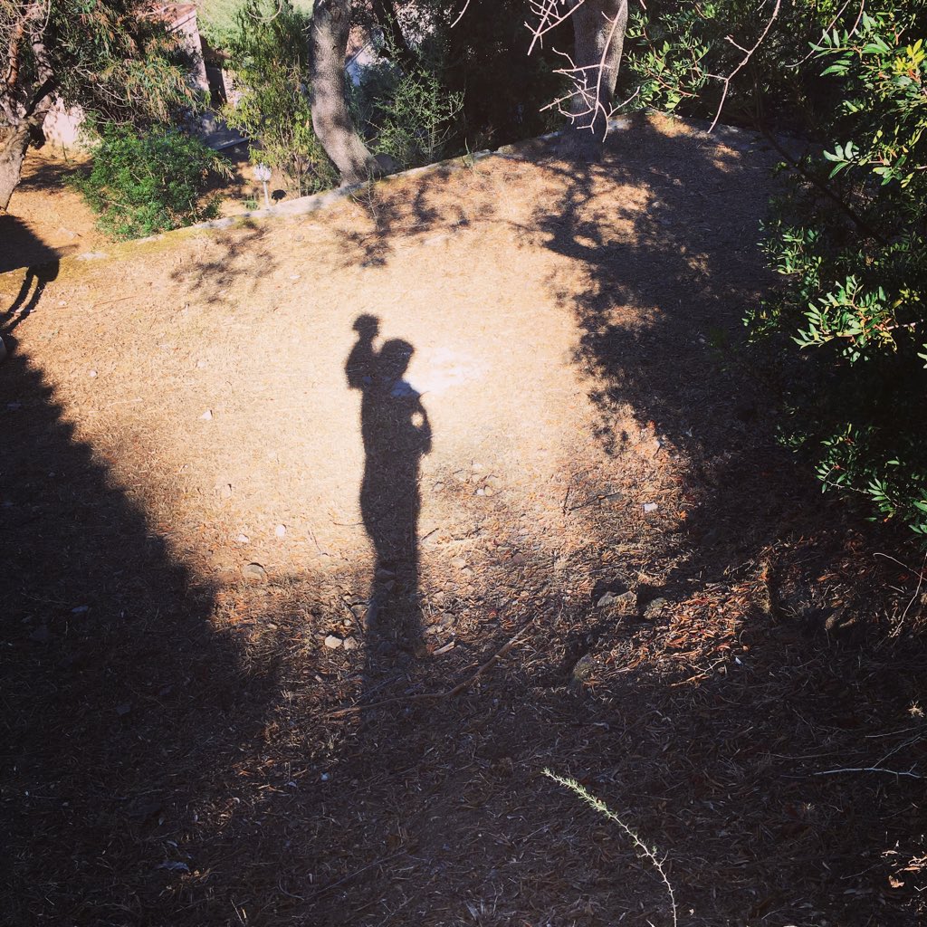 #NouvellePhotoDeProfil