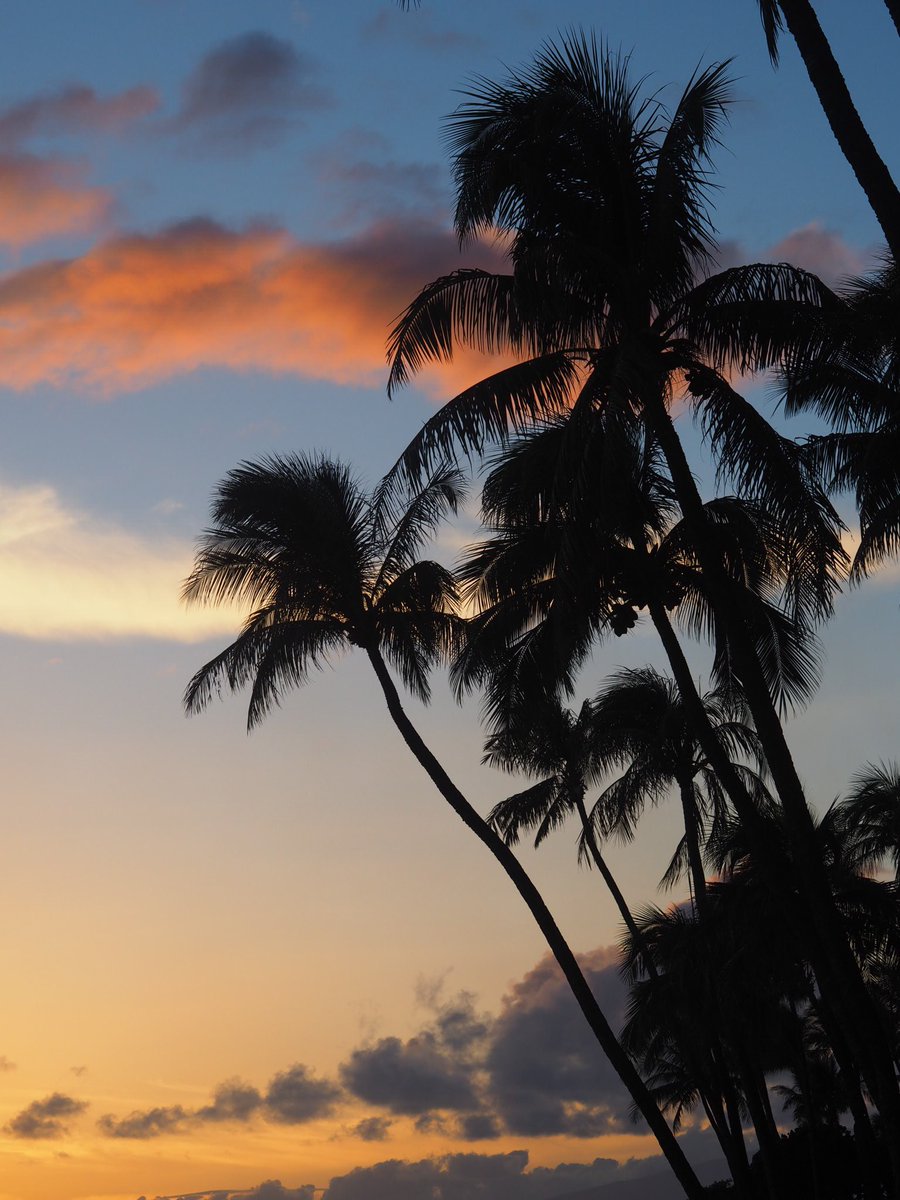 lina_findlay's tweet photo. The most amazing holiday ! Fallen in ❤️ with Hawaii 🌴✈️🌞 https://t.co/JxziqFS35m