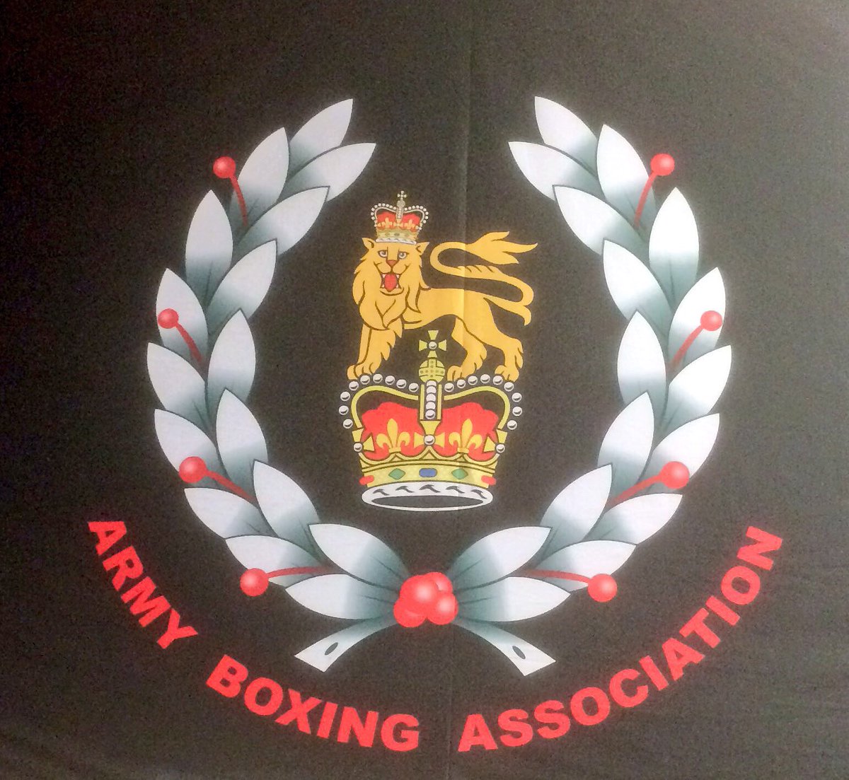 British Army Boxing Team 🔴🇬🇧🔴 tweet media