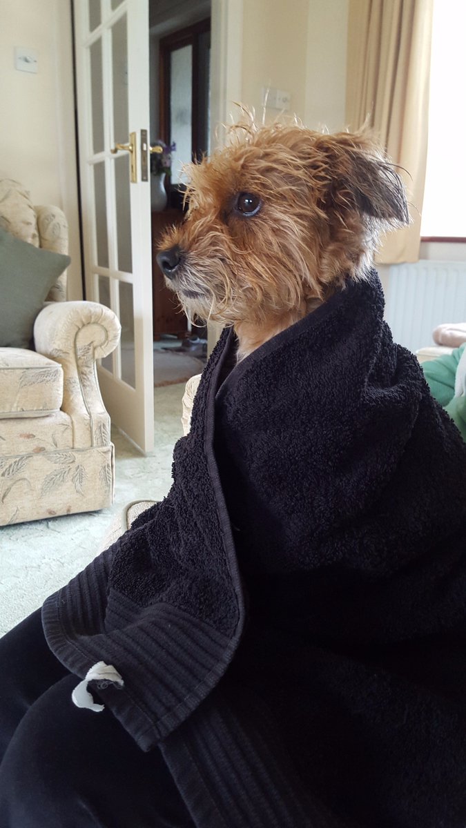 Christine_Emb's tweet photo. "The Grandparents put me in the bath today...I'm still confused!" ;) #bellafame https://t.co/pvd6OJZlCl