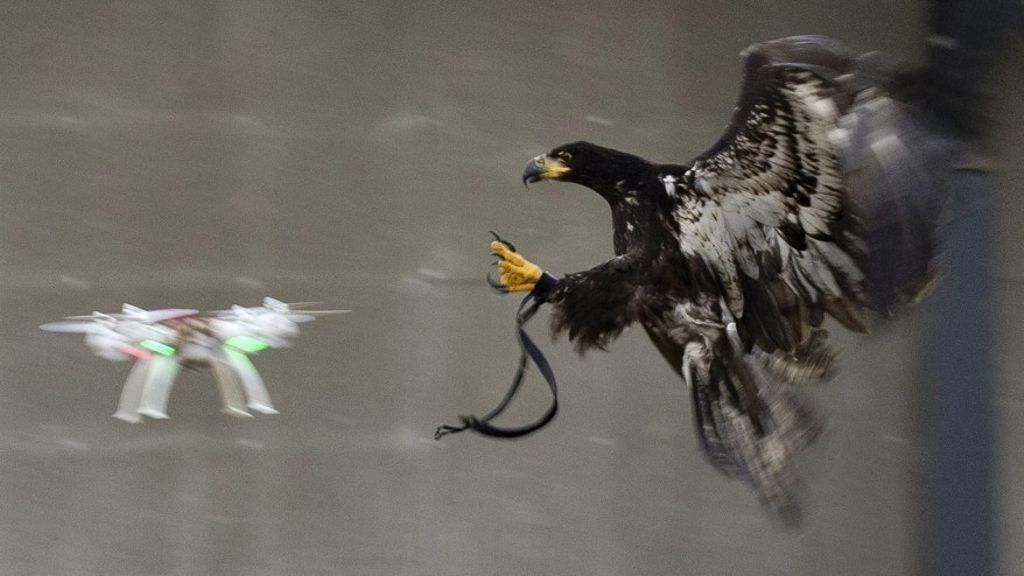 Laptops Direct tweet media