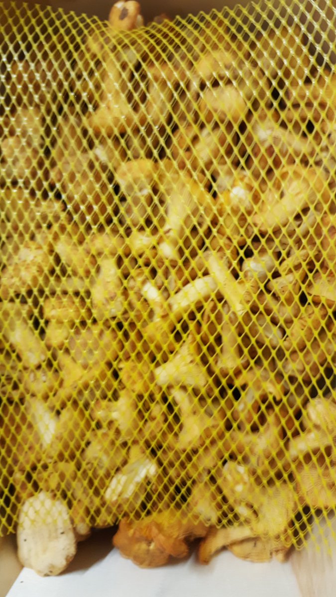 Frais à Table tweet media