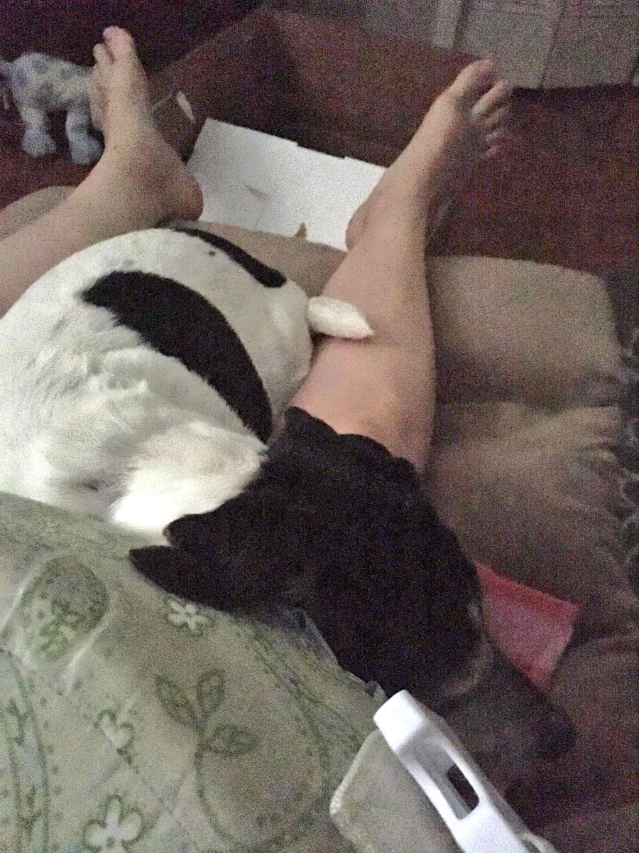 JaimieWeiss's tweet photo. One toddler sleeping. Nursing baby to sleep while puppy tries to sneak some cuddles #momlife #HappyIndependenceDay #notsoindependent https://t.co/ZRsSMcjEAl