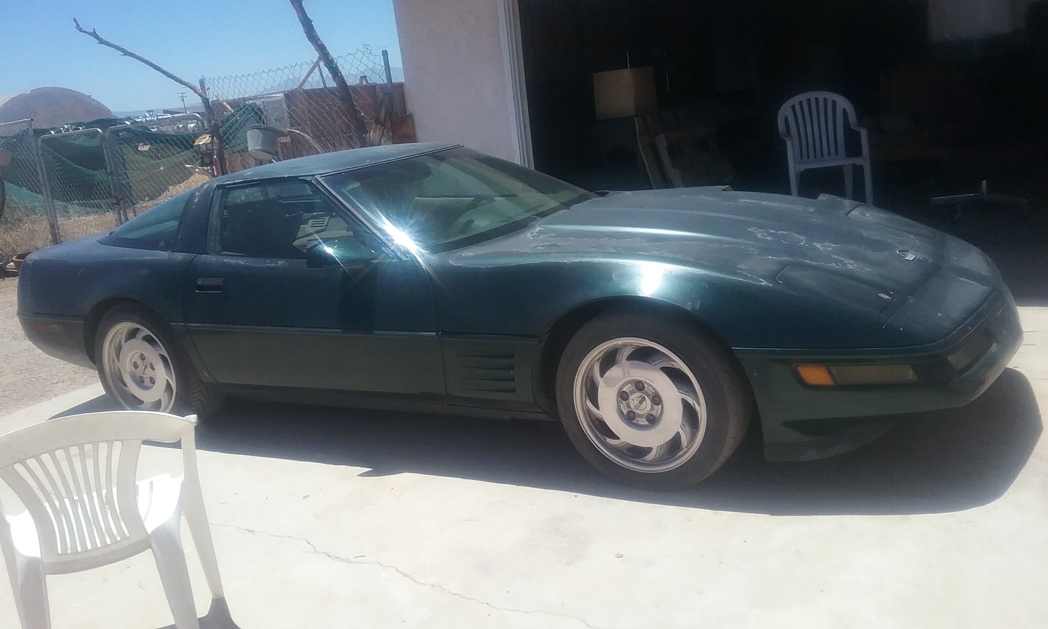Tia Gunn on Twitter "working on my vett almost done with it wont to