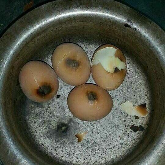 funnyfacegh's tweet photo. When the Bosschick boss all ur eggs ... #whatapity lol https://t.co/nH4ZdX4dtb