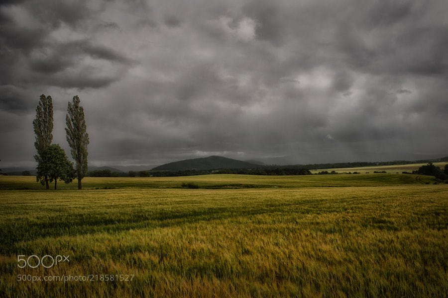 Starkow,  Poland by walterguenter ...