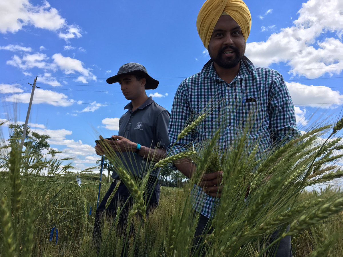 Alireza Navabi tweet media