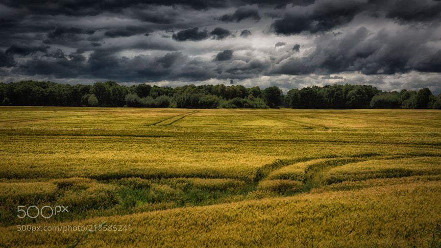 Storm by walterguenter ...