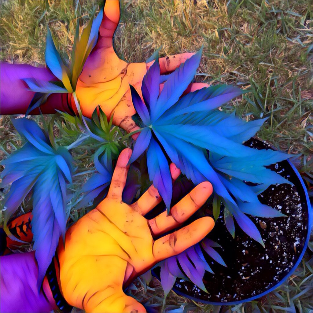 GotChangeInc's tweet photo. Compassionate Use Coalition. Educating, Advocating for the medicinal and therapeutic use of Cannabis. #CUC https://t.co/k3ia2nwKne