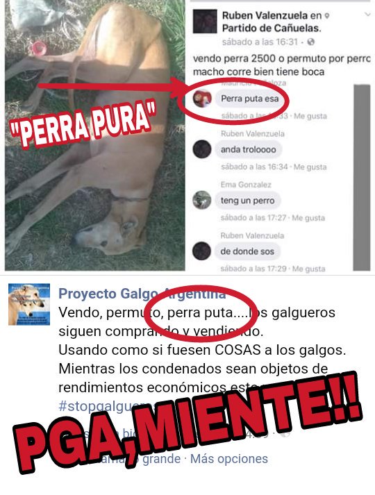 SolLatuli's tweet photo. @proyectogalgoar Ja ja ja ja ja ja que estúpidas son estas lacras...mamás protectoras de la gran MENTIRA...😄😄😄😄 https://t.co/ZHt9ieC0B5