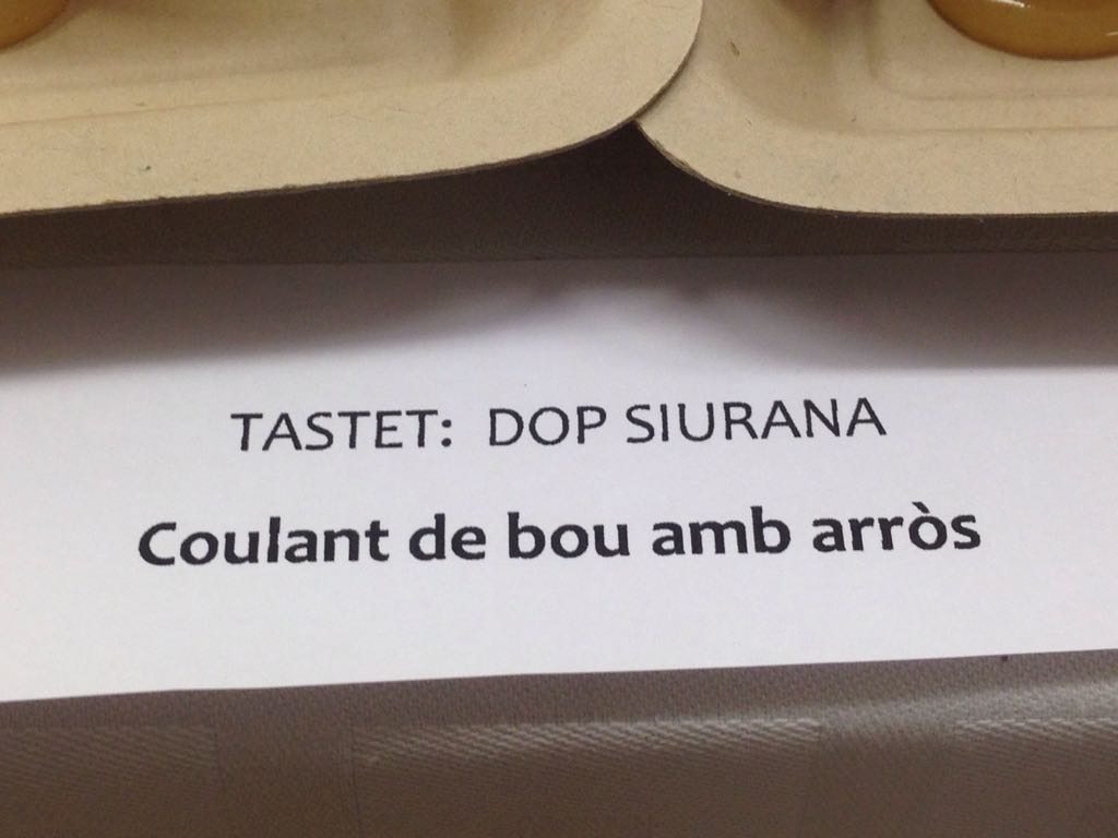 Avui a la sessió de Mas Bové sobre els #olis de #Catalunya, maridatge dels 5 olis #DOP, tot un gran petit país al plat. 👌