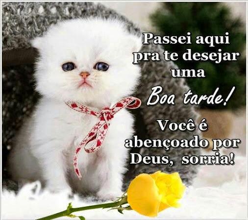 Jack (@jacklinda476) on Twitter photo 