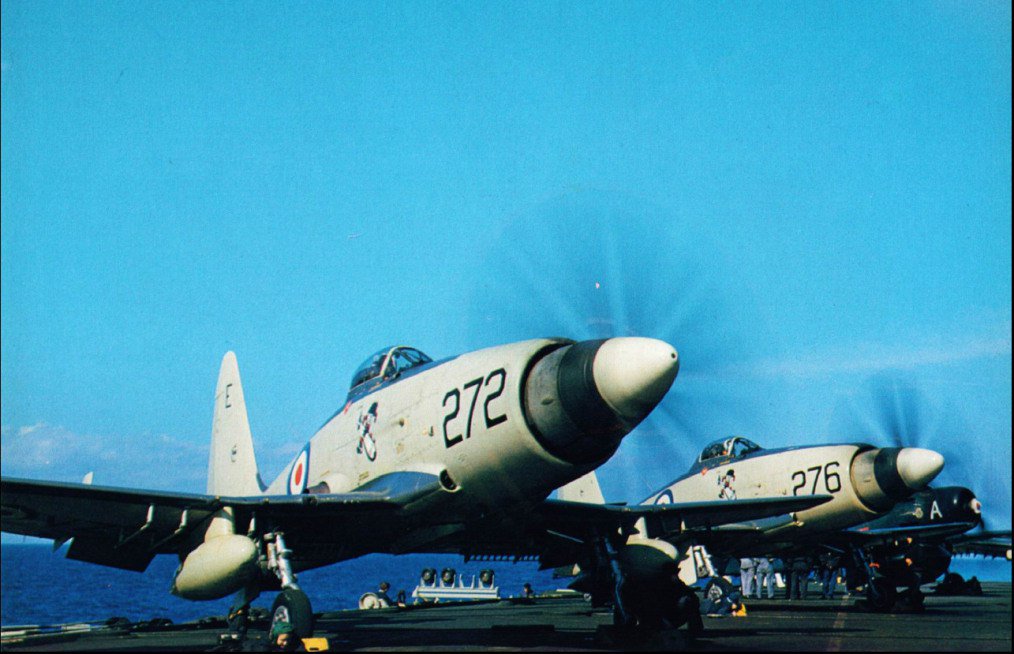 Westland Wyverns of the Royal Navy