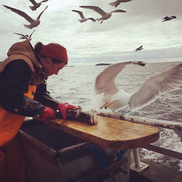 Photo of the day from our fishing trip! #lofoten #fishing #adventures xxlofoten.no