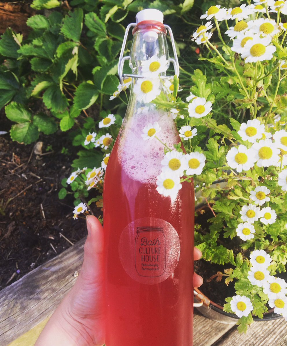 BCH Kombucha Refill Bottles available this Sunday Market @BathArtisan Green Park Station 🌿Working on a weekly service #reducepackaging