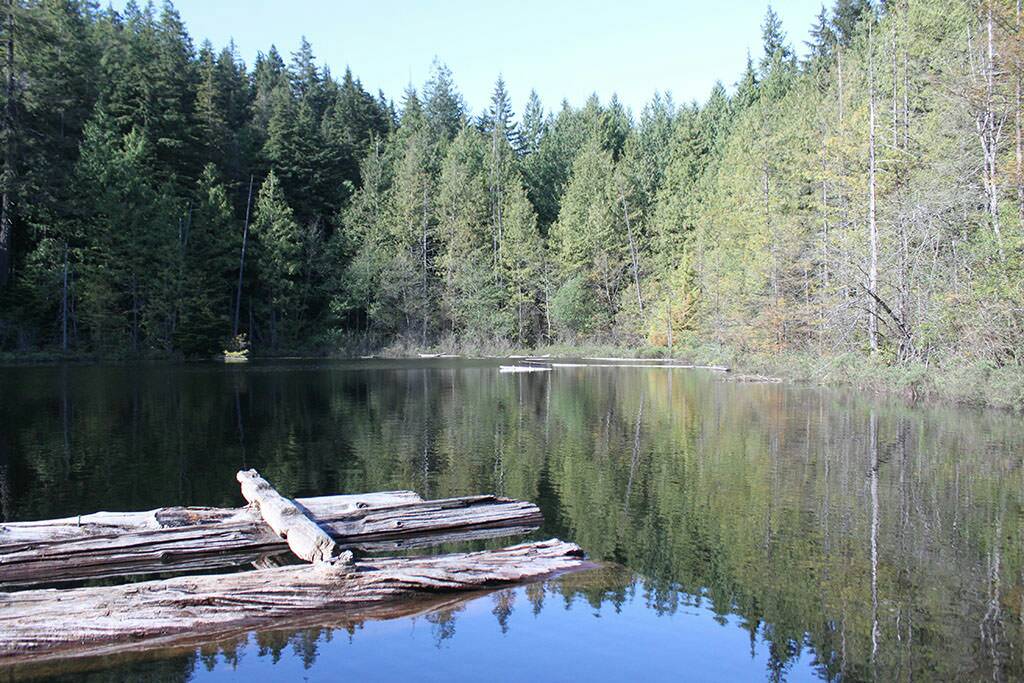 InterFitSociety's tweet photo. Hi all, 

We need one more Sherpa for a hike to Whyte Lake this Saturday. 

Let us know here or email programs@interfit.ca if you can help! https://t.co/fQnghsYCUK