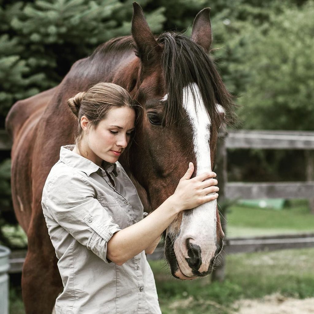 Honest Horsemanship tweet media