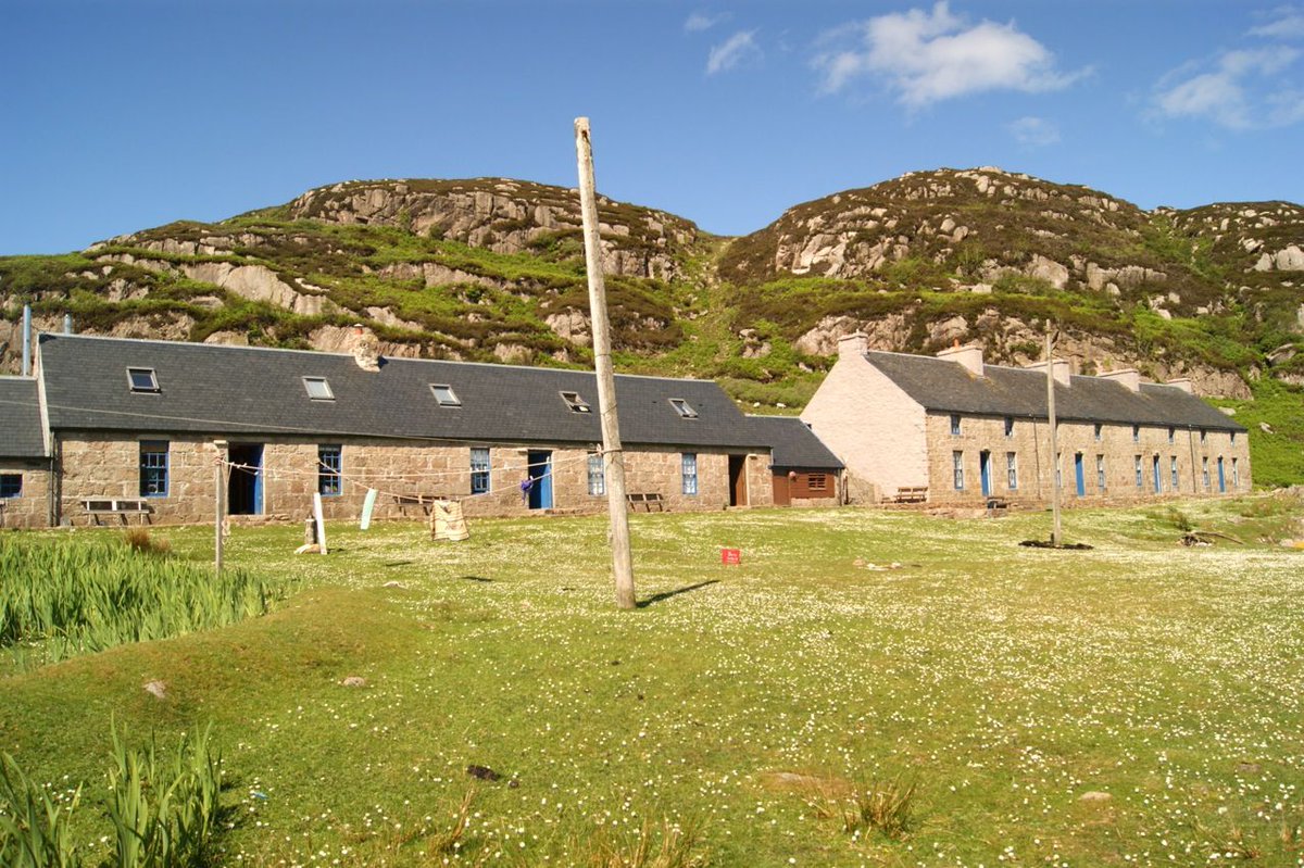 New Campaign: Camas - Our Woodland Regeneration buff.ly/2sJzvRR