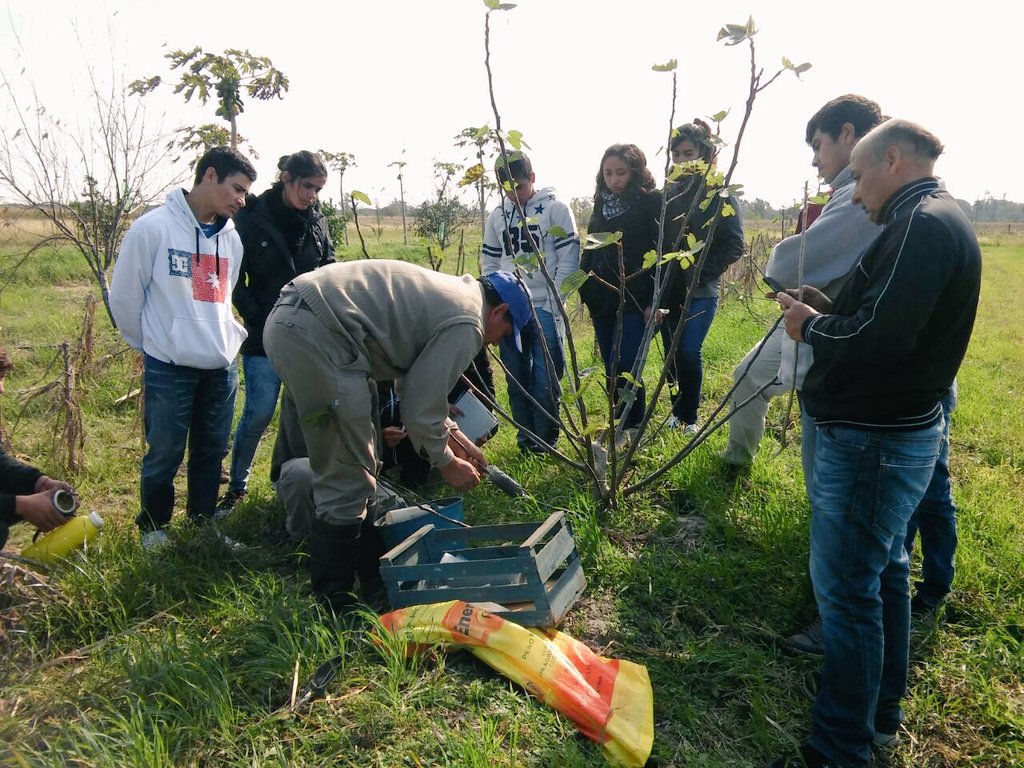 AF_INTA_CTES's tweet photo. 3 y 4/7, alumnos EFA Sta Lucía en prácticas profesionales en #EEACtes #Frutales #Mandioca #AF #Profeder #ProHuerta https://t.co/PEutePrSob