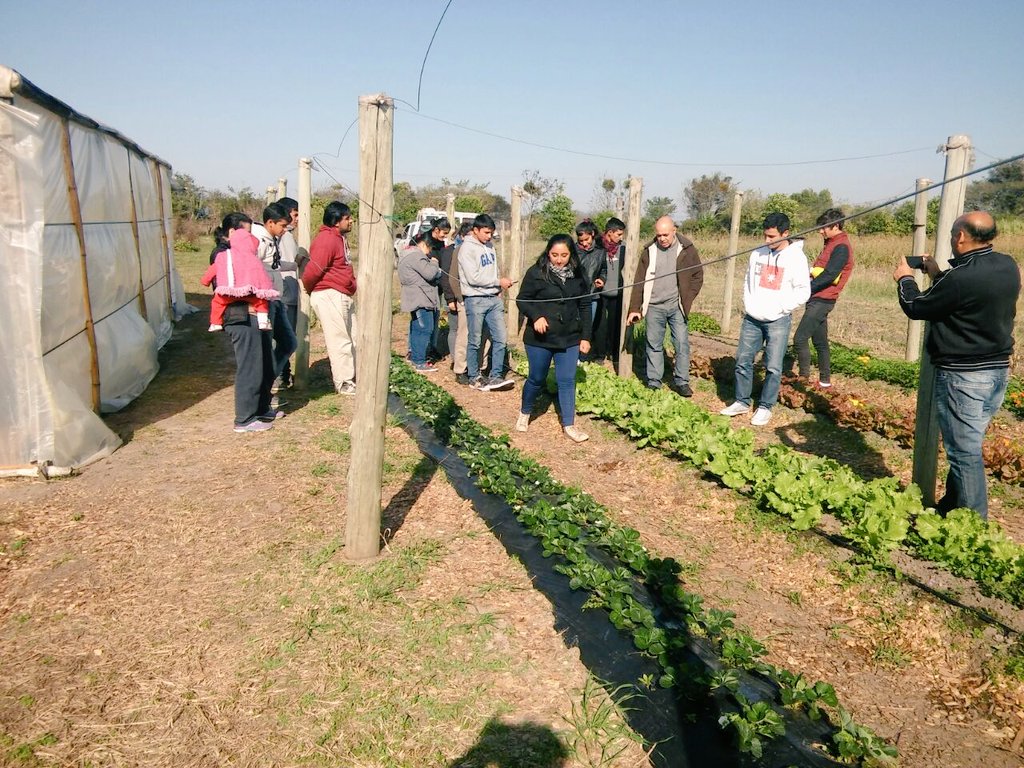 AF_INTA_CTES's tweet photo. 3 y 4/7, alumnos EFA Sta Lucía en prácticas profesionales en #EEACtes #Frutales #Mandioca #AF #Profeder #ProHuerta https://t.co/PEutePrSob