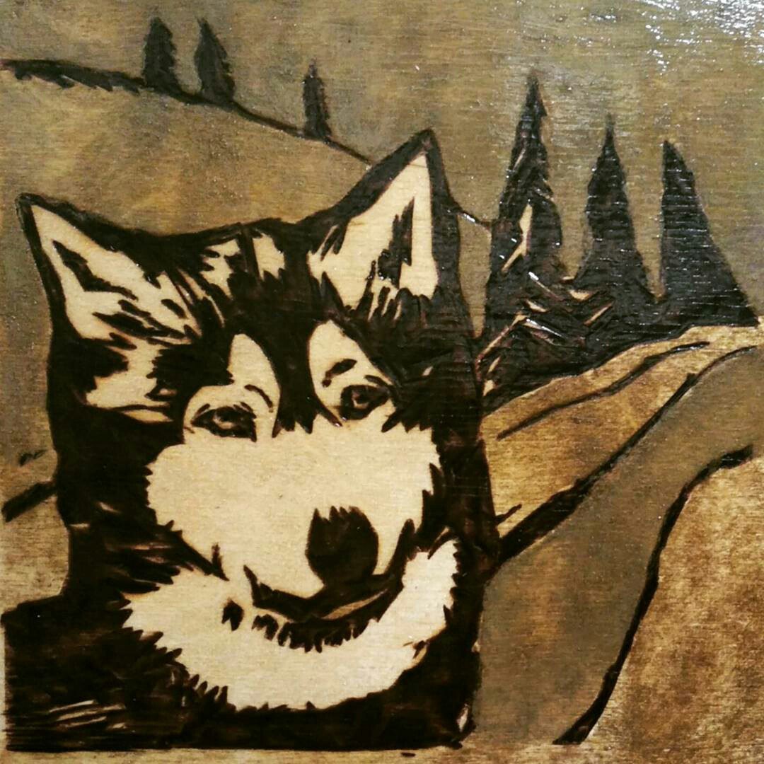 e_kronina's tweet photo. #выжигание #выжиганиеподереву #pyrography https://t.co/GmZawMqXVq