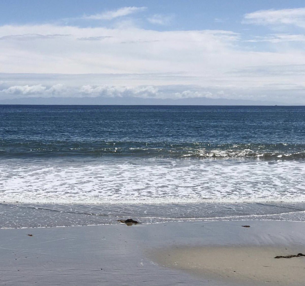 opal_sb's tweet image. Happy 4th of July! 🇺🇸 #4thofJuly #santabarbara