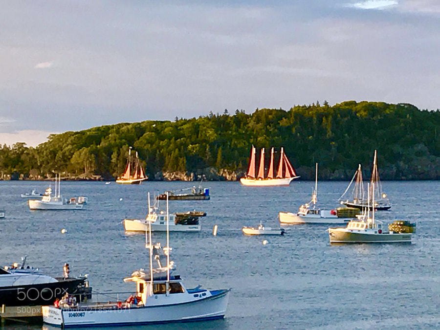 Clipper and schooner coming in after a sunset cruise. Bar harbor Maine. by jameslaudando ...