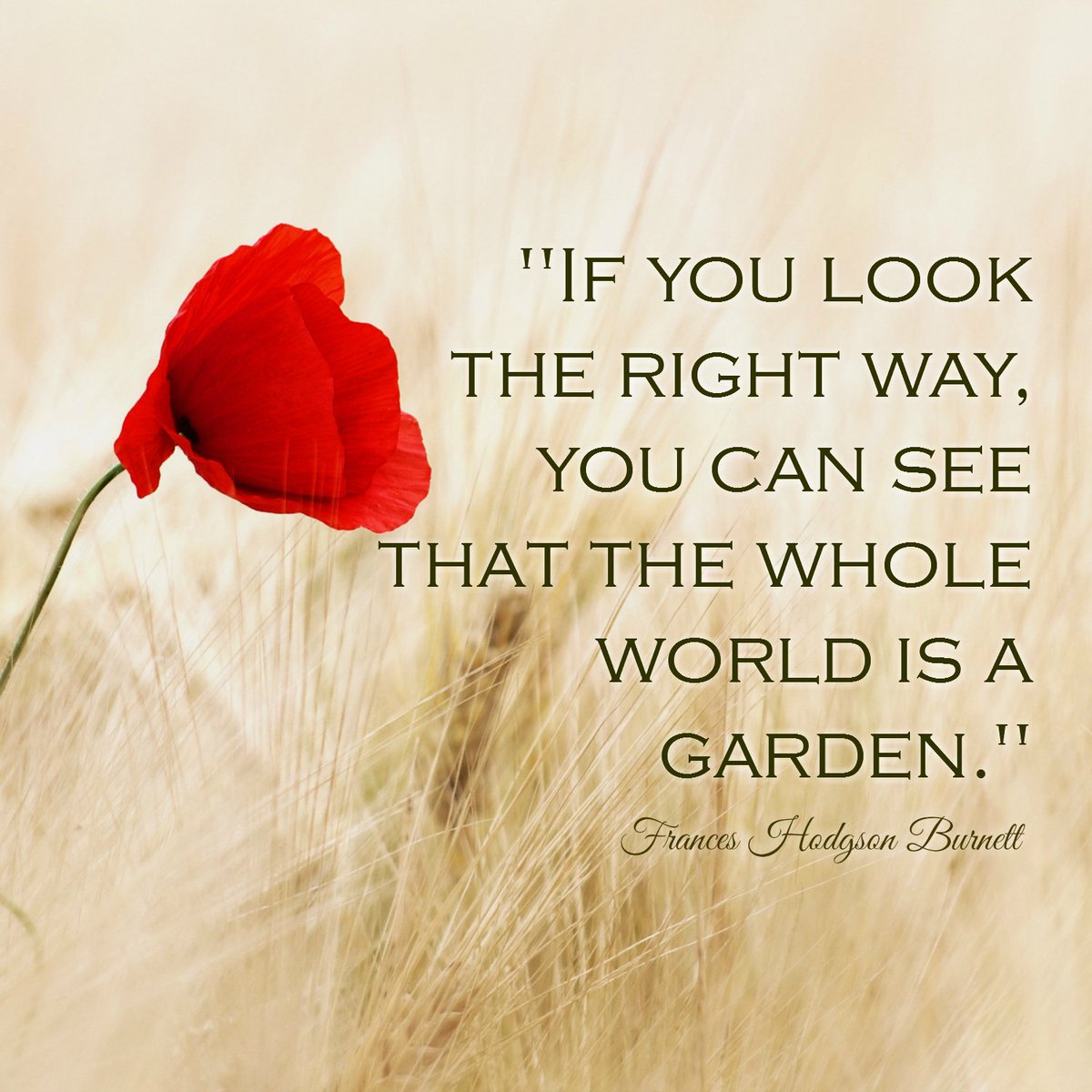 HeartyMinds's tweet photo. https://t.co/hOmnAJ70pz
