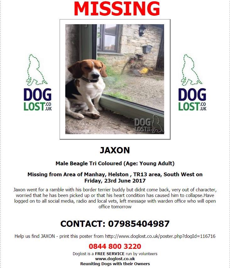 bellabbeagle's tweet photo. Please can you RT 
Jaxon is stilling missing and his family are heartbroken #FindJAXON  #MissingBeagle #CornwallHour https://t.co/kPpi8oNbmb