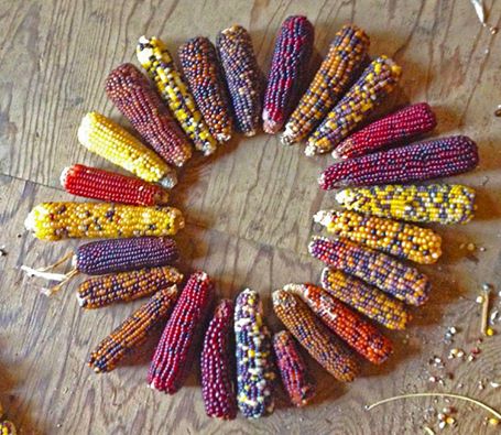 billmcdorman's tweet photo. Join RMSA before July 14th and get Seed School Online FREE!
Sign up as a Supporting Member for $5/month.  #seeds  https://t.co/nUZyGV5leF https://t.co/lMkSf4b3zq