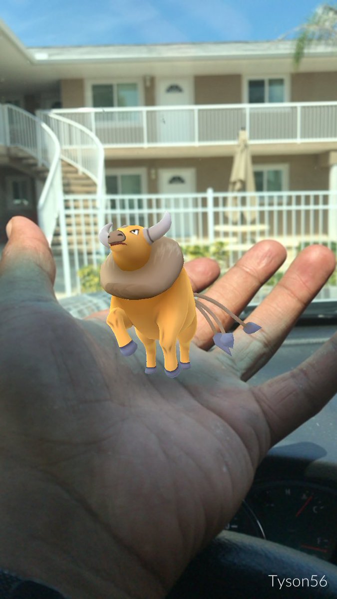 TLee863's tweet image. I Got It! #4thOfJuly2017 #Pomemongo #trainerTim #NewDexEntry