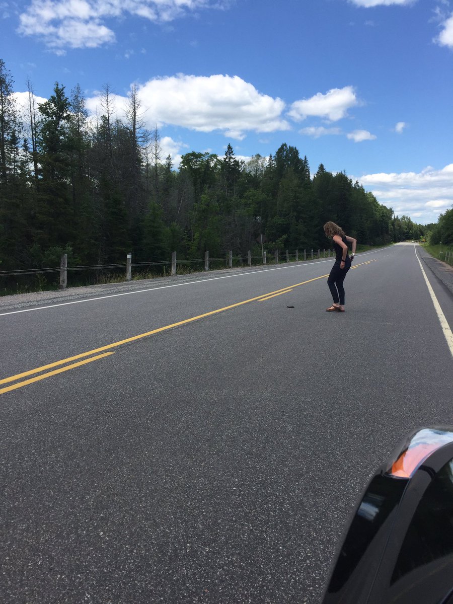 JessicaKukac's tweet photo. What else would the @SCDSB_Schools environmental coordinators be doing? #savetheturtles #scdsb_env @KKalalian https://t.co/MftjZgKcV7