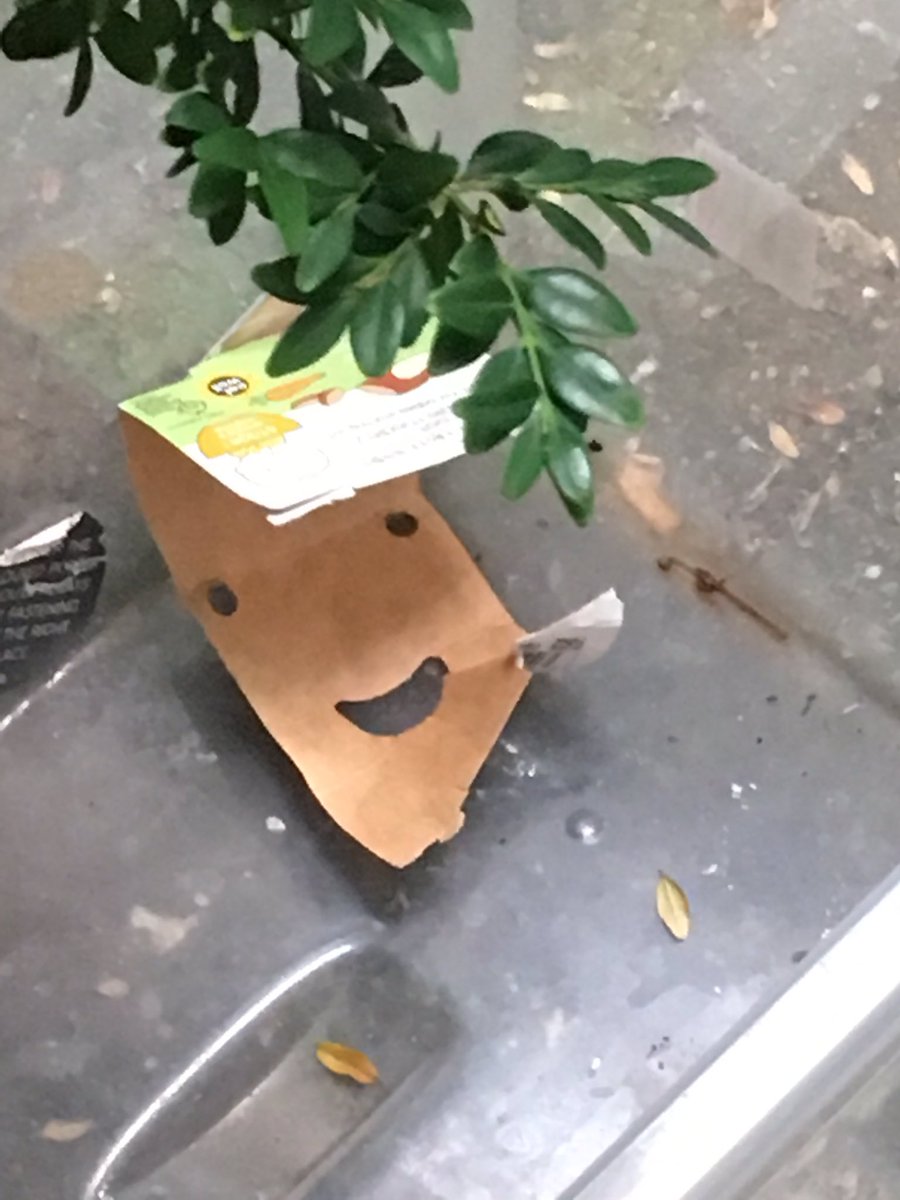 Happy in the recycling bin