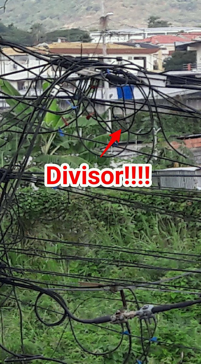 Carlos Ponce tweet media